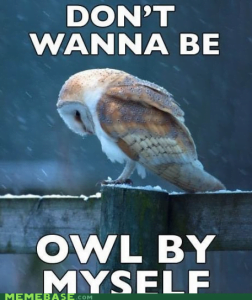 20 Really Hilarious Song Lyrics Memes To Make You Happy Sayingimages