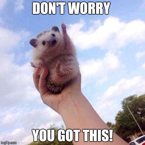 40 Best Memes To Let You Know That 'You Got This' - SayingImages.com