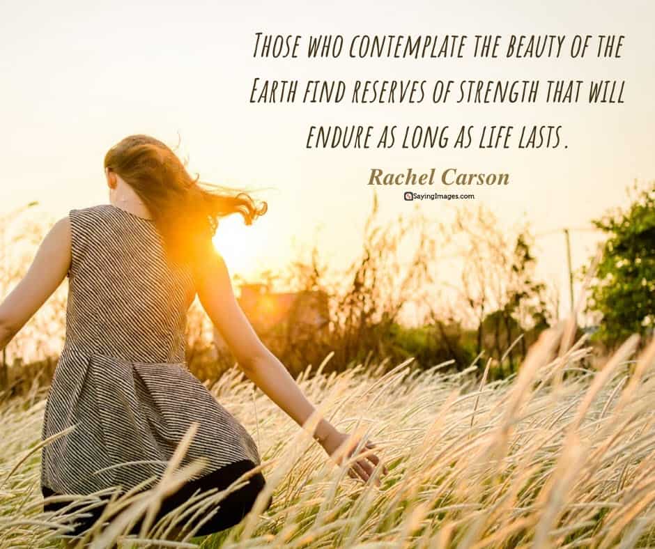 earth day beauty quotes