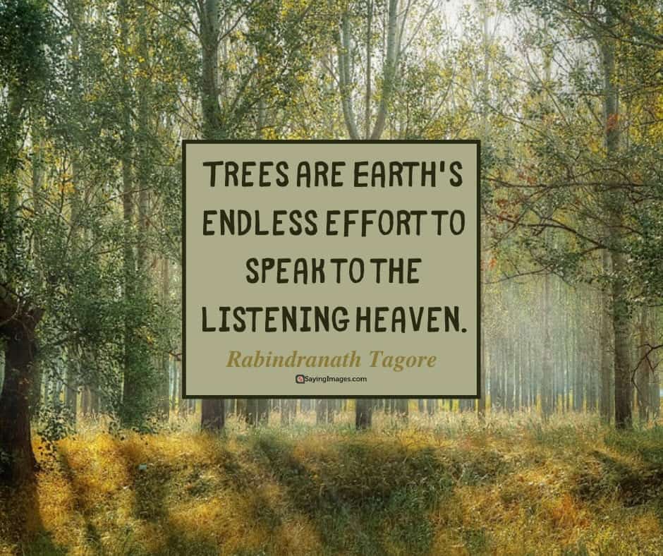 earth day heaven quotes