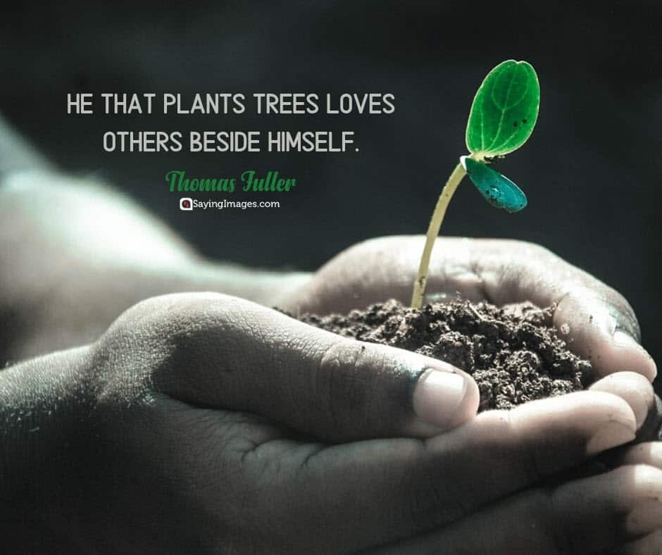 earth day trees quotes