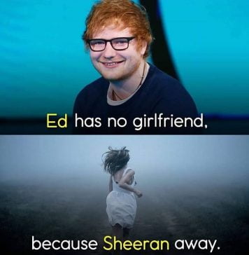 20 Ed Sheeran Memes With Cat - SayingImages.com