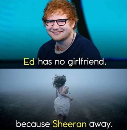 20 Ed Sheeran Memes With Cat - SayingImages.com