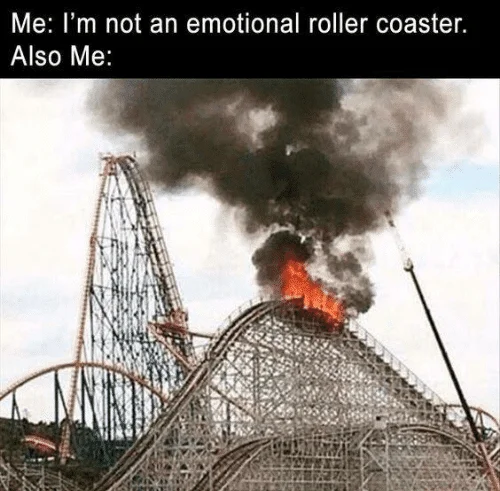 emotional rollercoaster meme