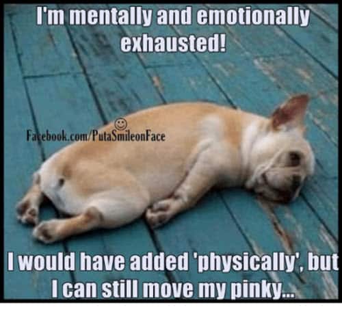 25 Exhausted Memes You ll Find Way Too Funny SayingImages