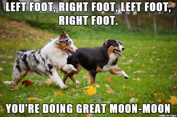 encouragement left right foot meme