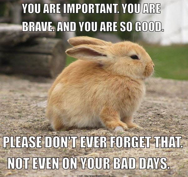 encouragement you are important meme