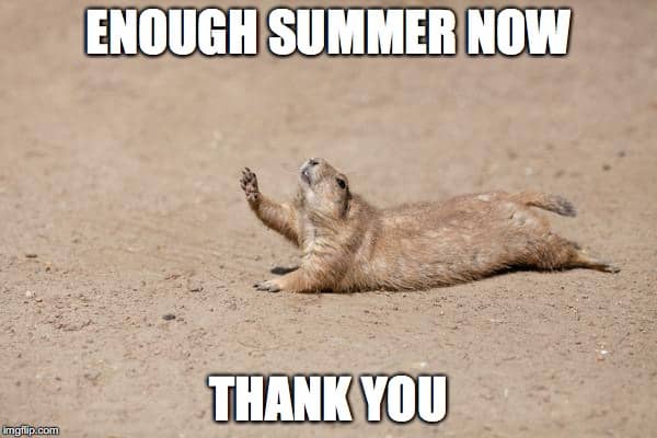 42 Hot Weather Memes To Help You Cool Down 4146