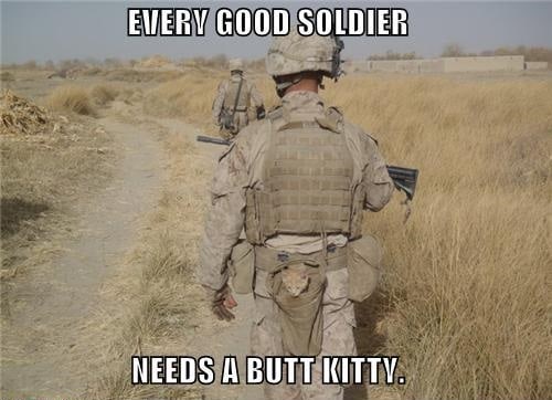 20 Best Veteran's Day Memes 