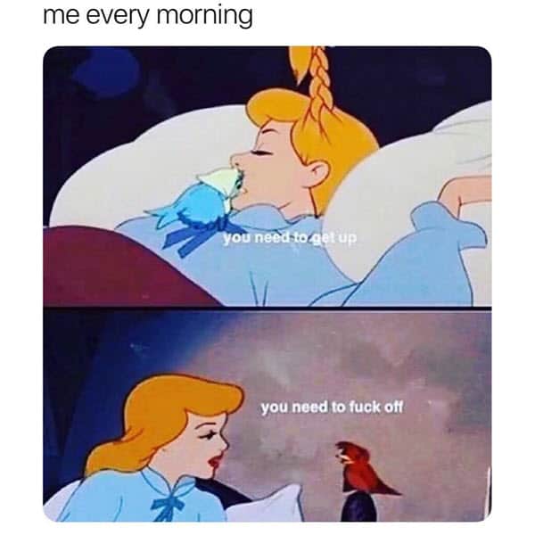 every morning meme