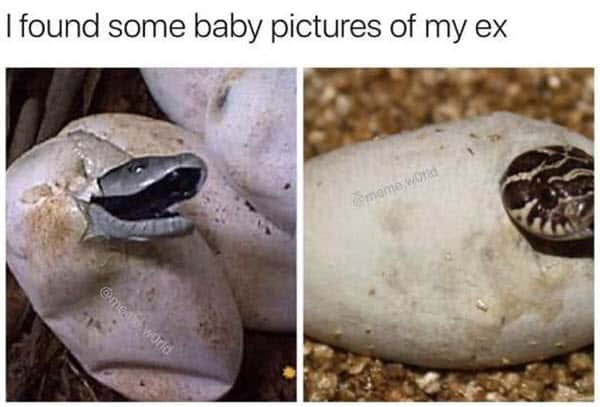 ex baby pictures memes