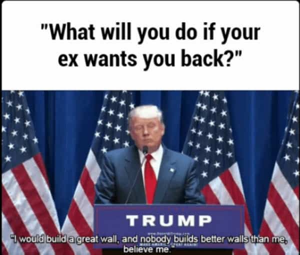 ex girlfriend wants you back memes