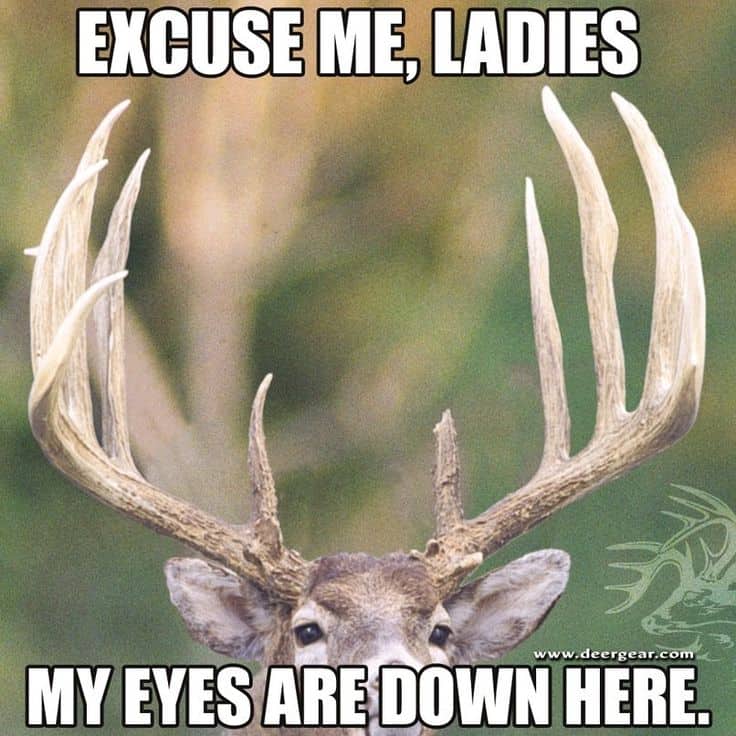 The 20 Best Deer Hunting Memes So Far