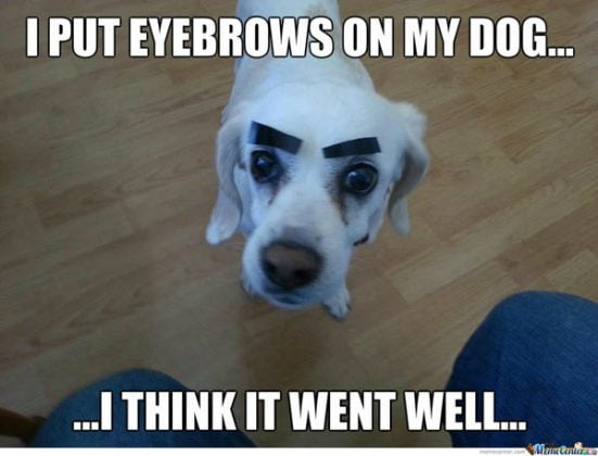 25 Eyebrow Memes That Are Totally On Fleek! - SayingImages.com