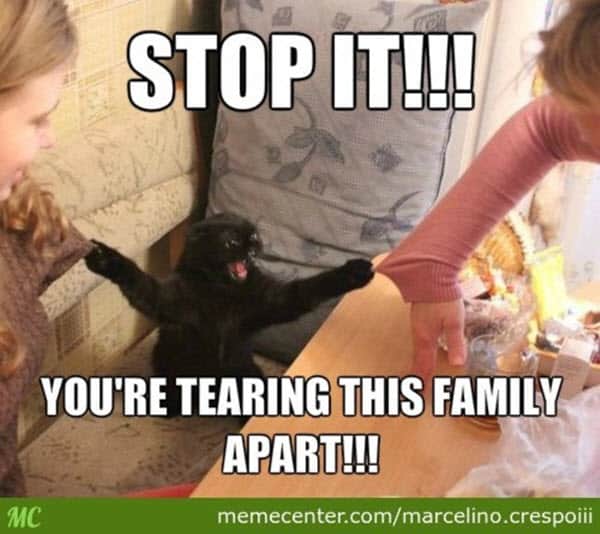 family stop it memes