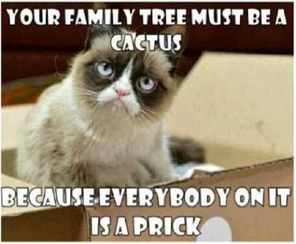 family tree memes