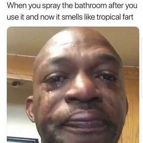 fart spray meme