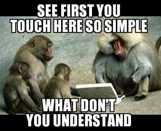 25 Funny Monkey Memes You'll Totally Fall In Love With - SayingImages.com