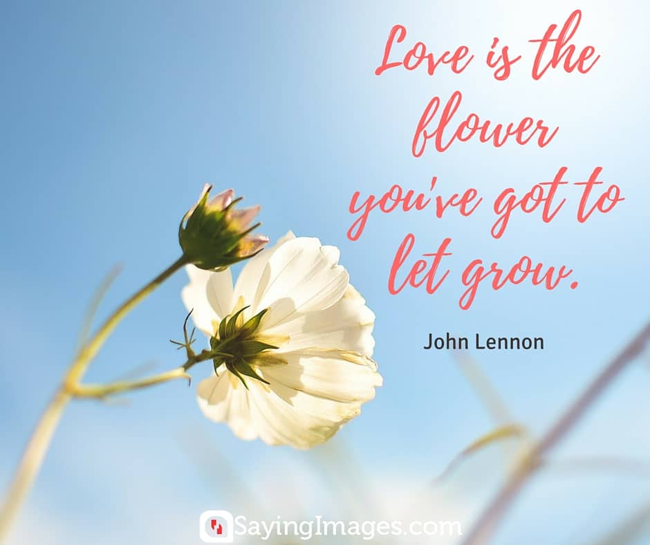 Image result for flower quote