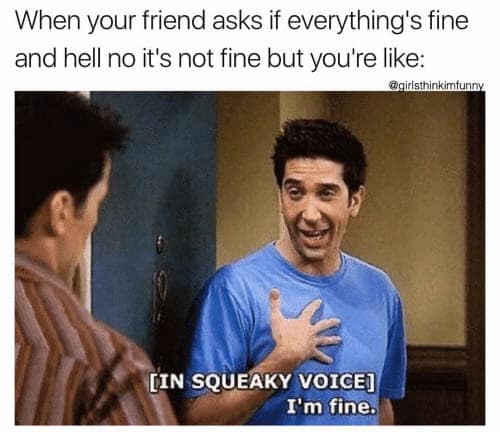 friends im fine meme