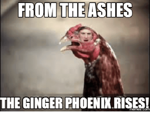 asian ginger meme