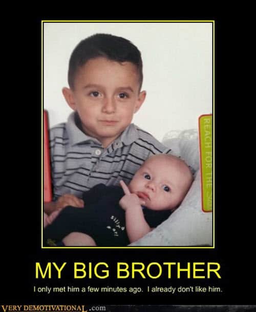 30 Funny Brother Memes To Troll Your Sibling With - SayingImages.com