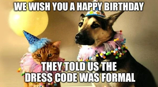 funny birthday dress code memes