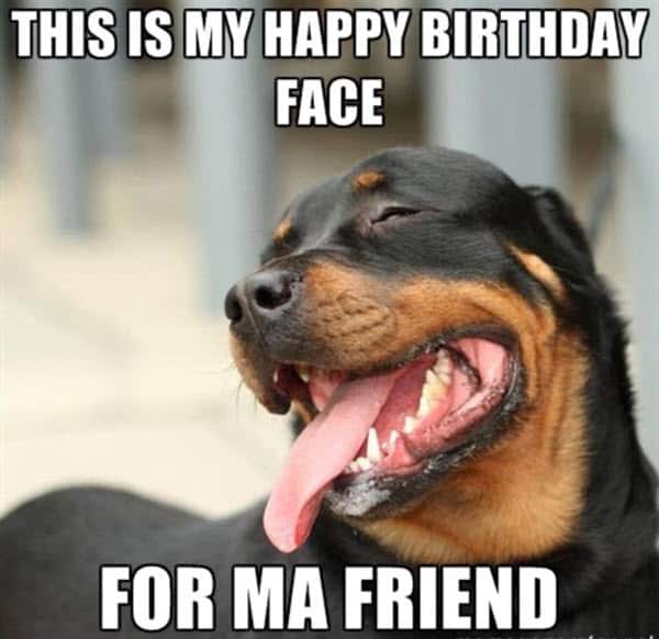 funny birthday face memes