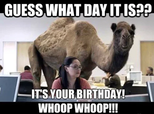 funny birthday guess what day memes