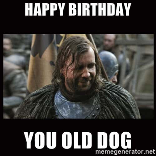 funny birthday you old dog memes