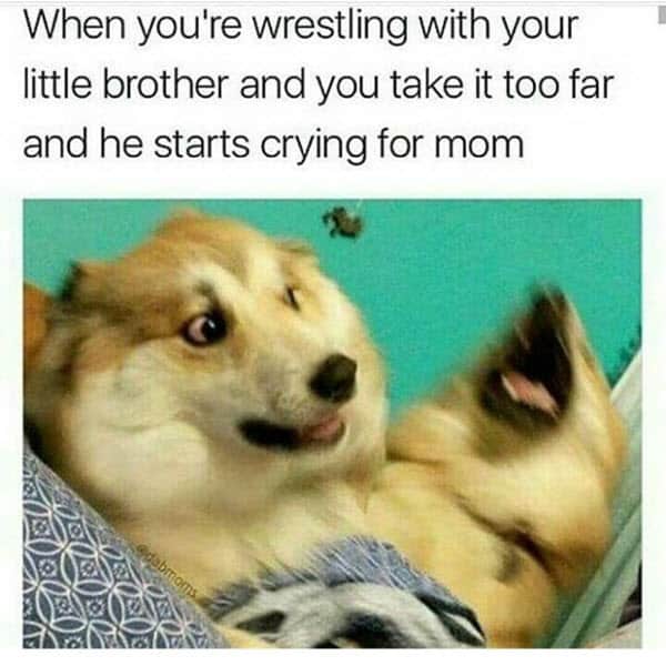 funny brother crying memes