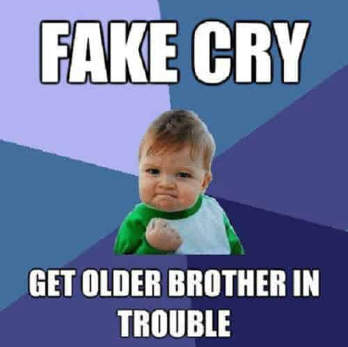 funny brother fake cry memes