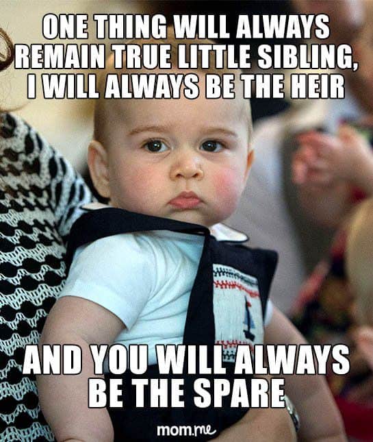 30 Funny Brother Memes To Troll Your Sibling With