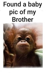 30 Funny Brother Memes To Troll Your Sibling With - SayingImages.com