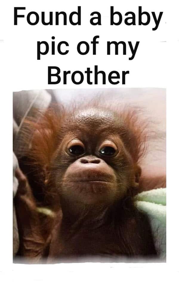 funny brother picture memes