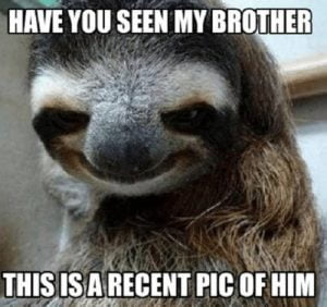 30 Funny Brother Memes To Troll Your Sibling With - SayingImages.com