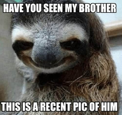 funny brother recent pic memes