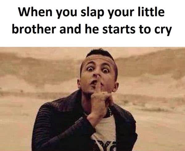 funny brother slap memes