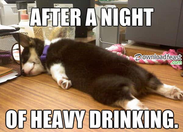 45 Really Funny Memes About Getting Drunk | SayingImages.com