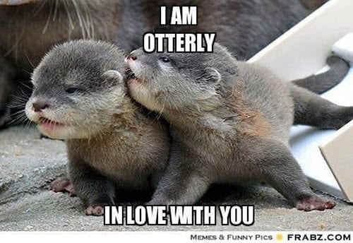 funny i am otterly in love with you meme