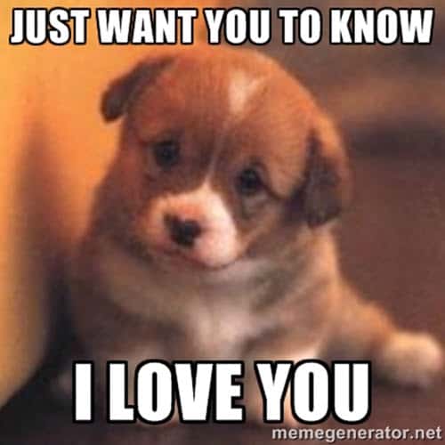 24 I Love You Cute Memes For Him Factory Memes