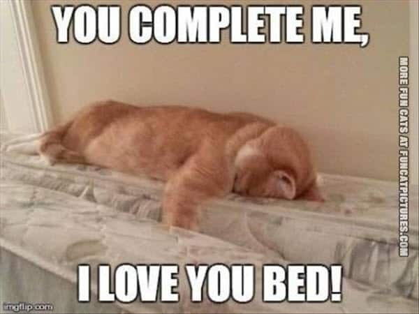 funny i love you bed meme