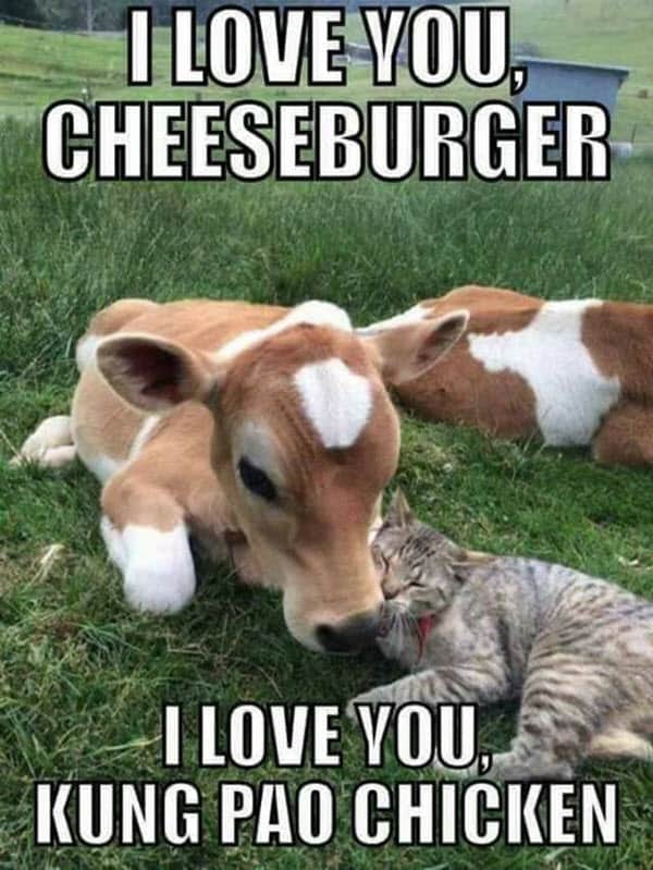 funny i love you cheeseburger meme