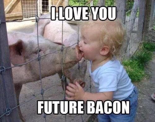 funny i love you future bacon meme