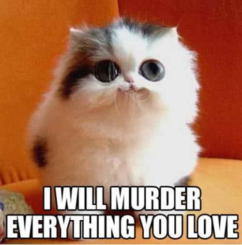 funny i love you murder everything meme