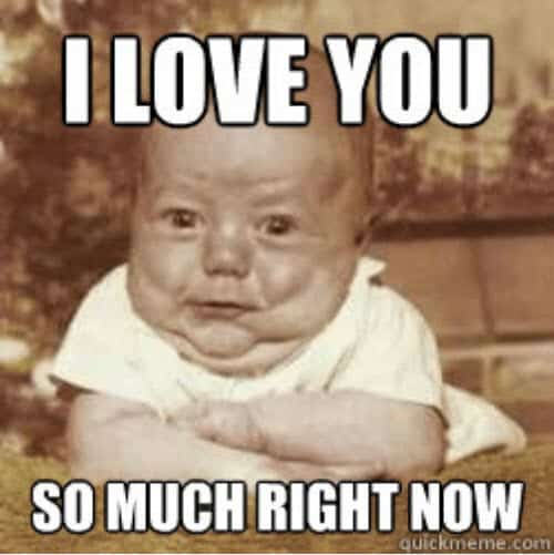 70 Funny I Love You Meme - SayingImages.com