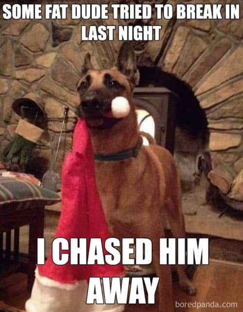 funny merry christmas guard dog memes