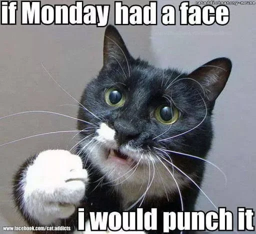 funny monday i would punch it meme