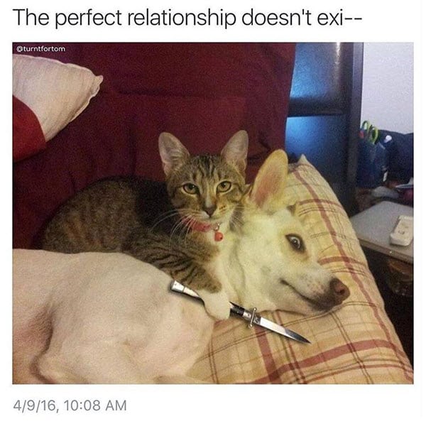funny perfect relationship memes