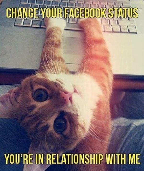 funny memes sullo stato della relazione su facebook